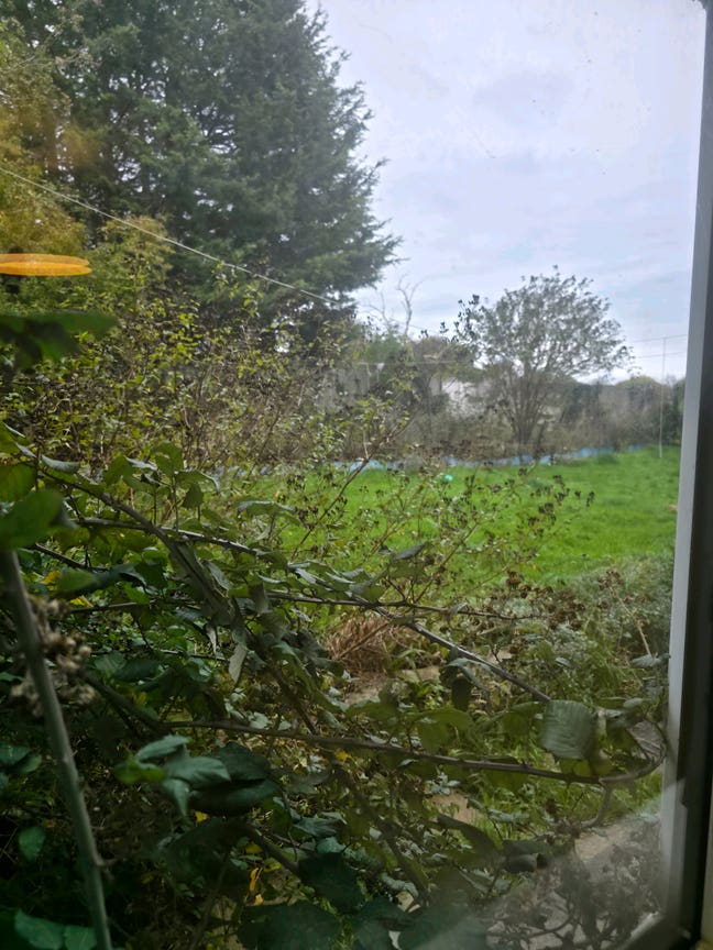 Room for rent in Lockleze Main Photo