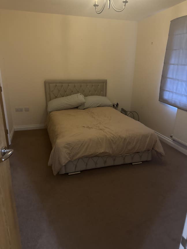 Free Room in Market Drayton – for a Dog Lover Main Photo