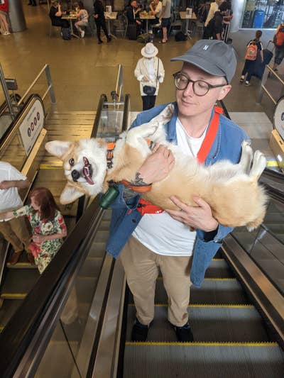 Tall Man and Short Dog Seeking Room Main Photo