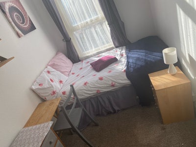 Large Doubles DE1 Main Photo