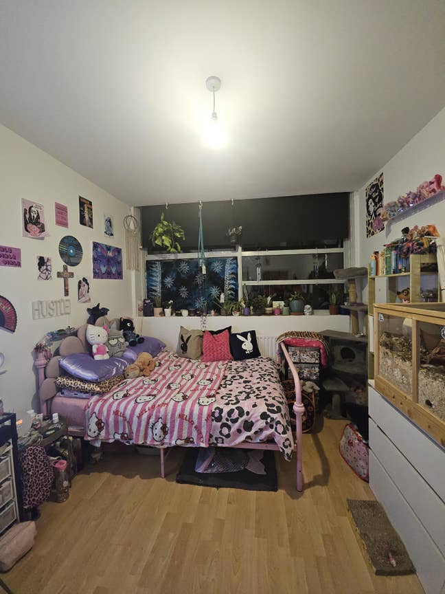 ☀️Bright large double room, LGBTQ+ household🏳️🌈 Main Photo