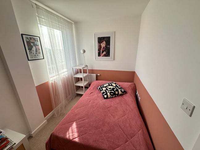 Cosy room in beautiful flat in Walthamstow Main Photo