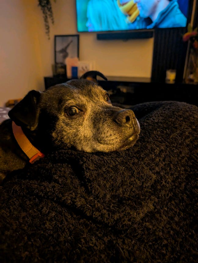 I am a professional female  aged 31 looking f... Main Photo