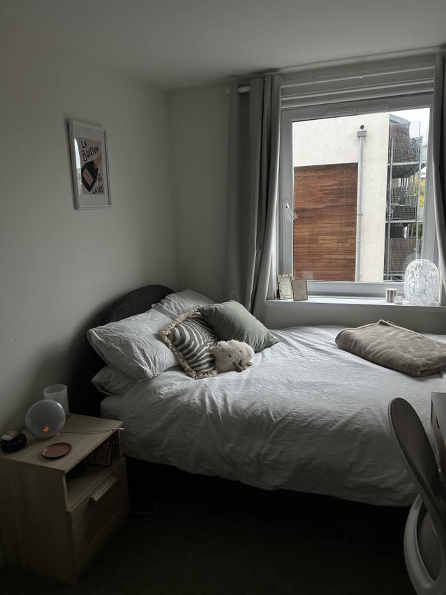 Chiswick Room to Rent - January 26 Onwards Main Photo