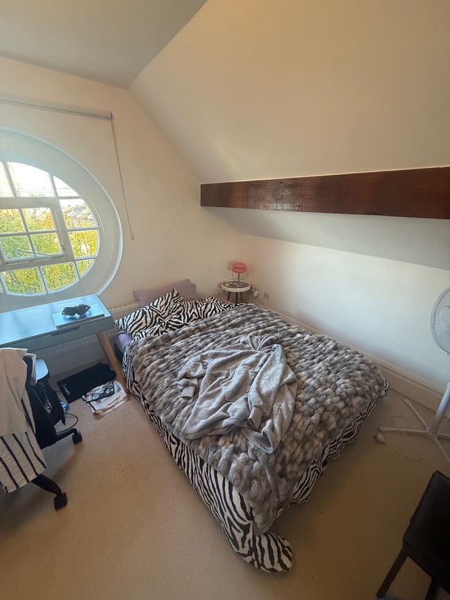 Room in a shared flat in Kentish Town Main Photo