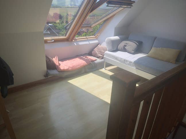 Double bedroom to let in Lewes Main Photo
