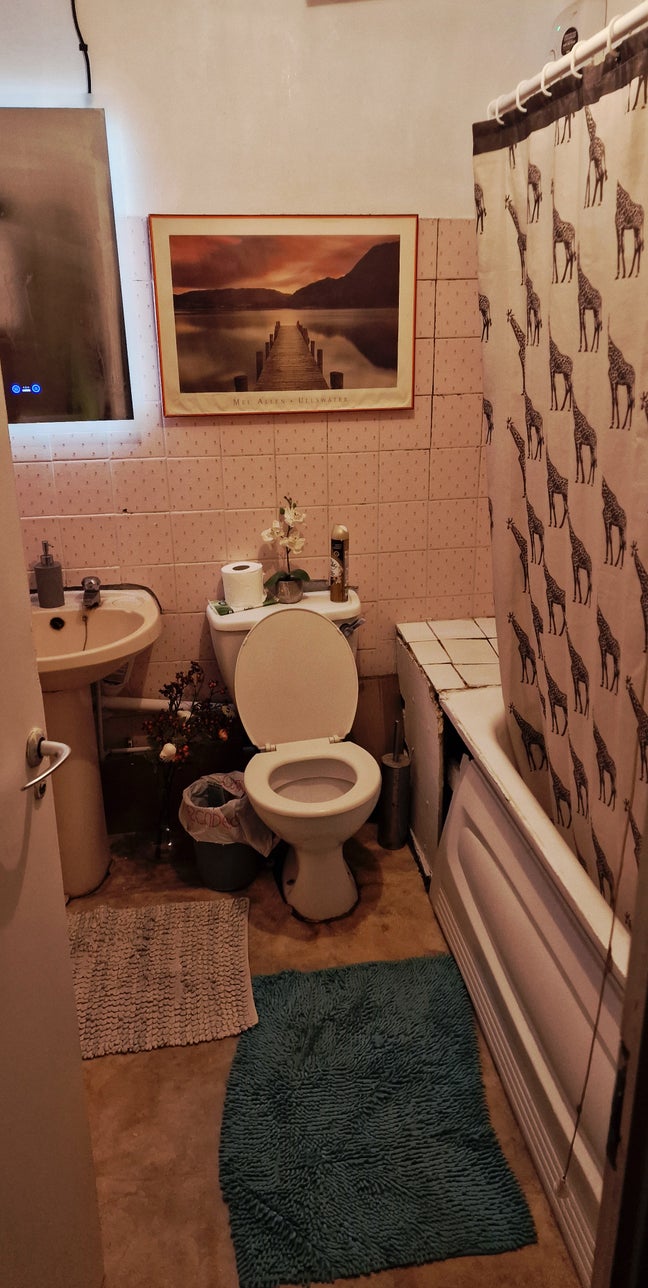 Large Double Room to let in Wimbledon (SW19) Main Photo