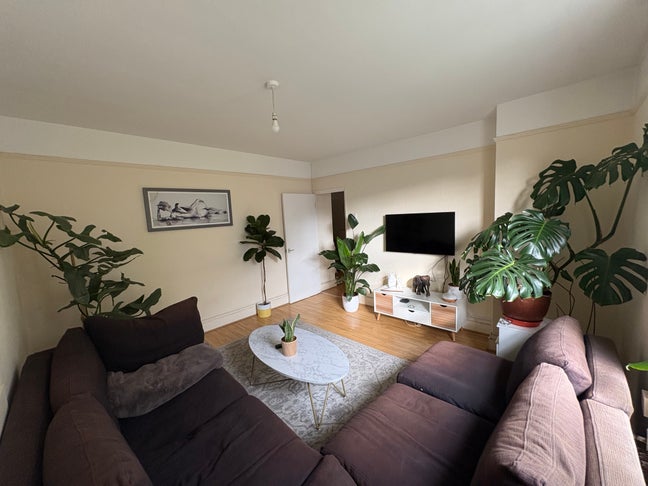 Room for Rent – Males preferred! 🛏️ Main Photo