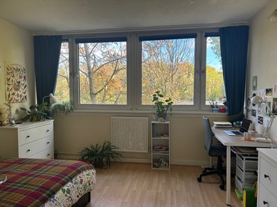 Bright & Big Double Bedroom near Canada Water Main Photo