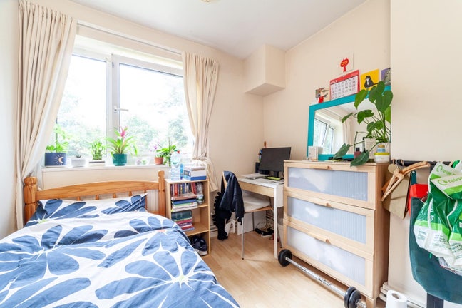 Beautiful and Cozy Single Bedroom Main Photo