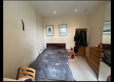 Professional female for flat share.  Main Photo