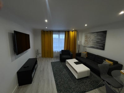 Professional or student  Main Photo