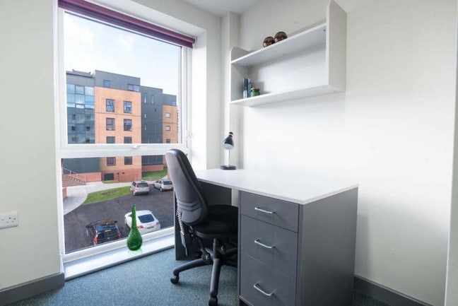 Deluxe studio available immediately  Main Photo