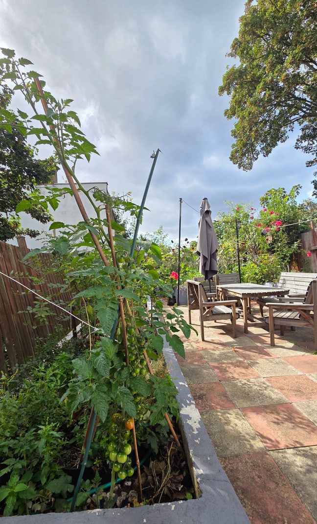 2 Rooms in a big shared home with a large garden Main Photo