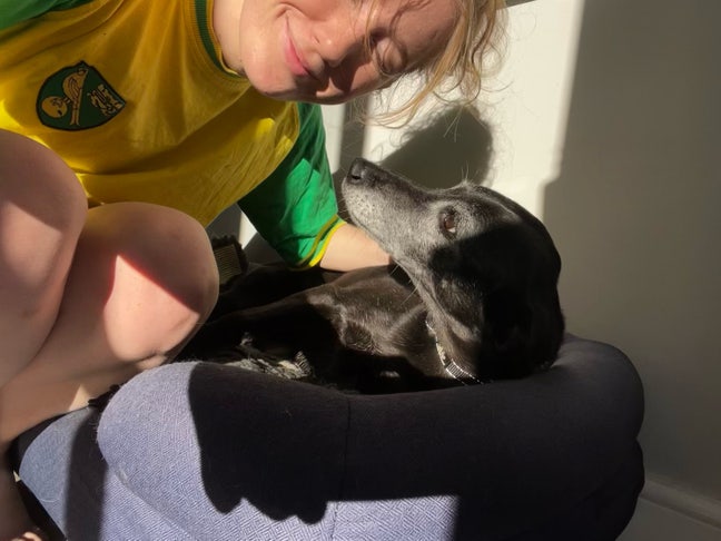 Professional looking for studio/room to sublet  Main Photo