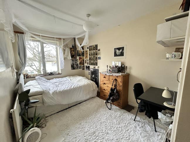 Room in a young house near Richmond Park Main Photo