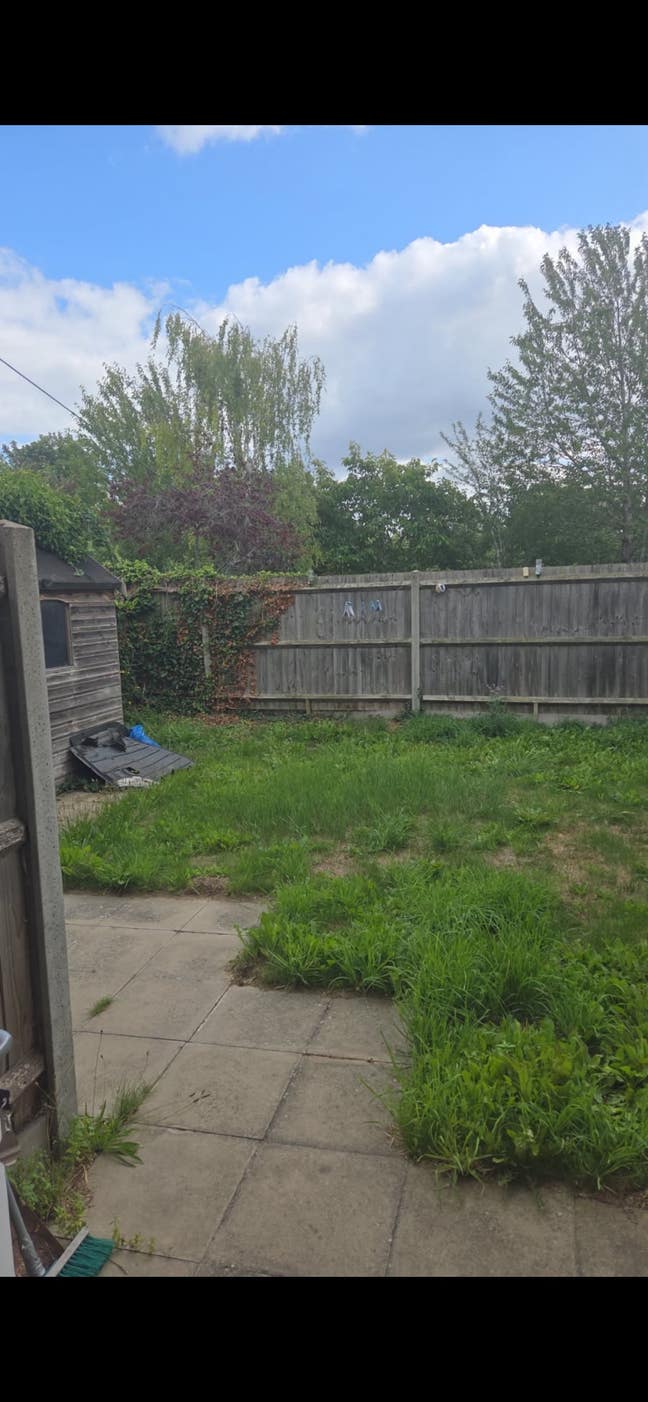 Room for rent  Main Photo