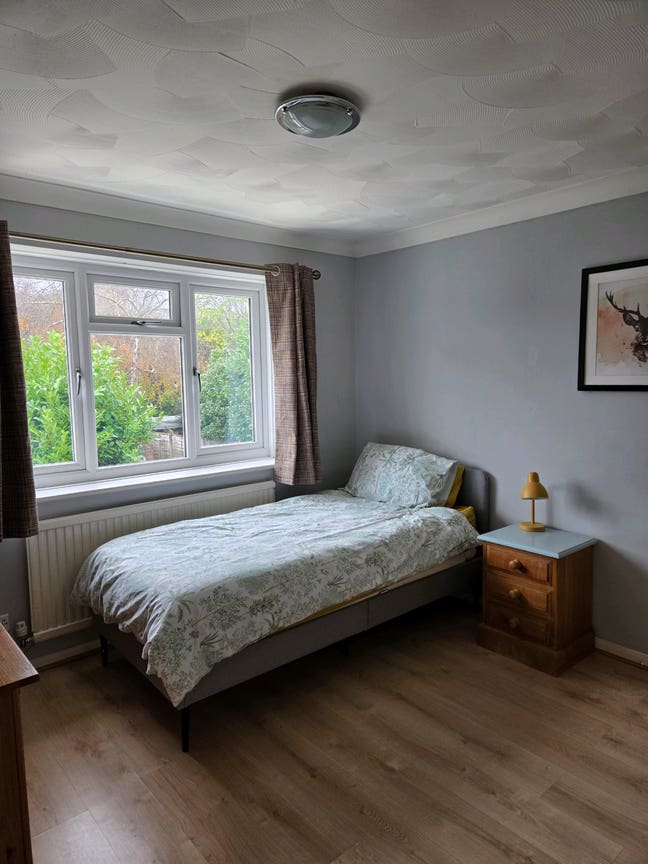 Spacious bedroom for single occupancy Main Photo