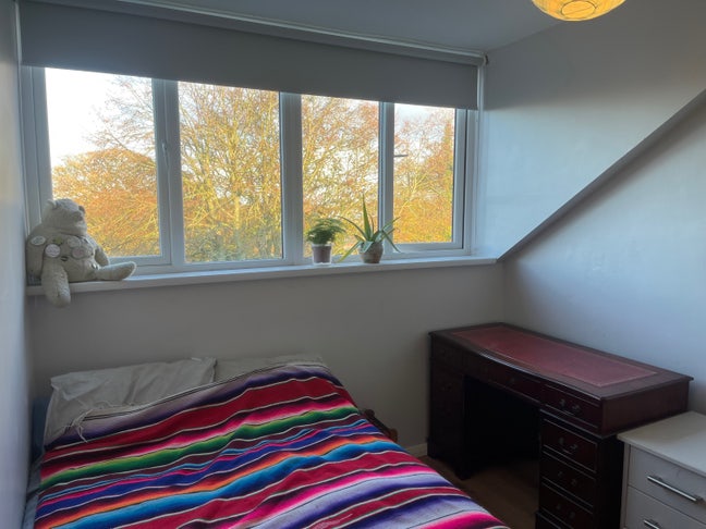 Best room in a 19th century period townhouse Main Photo