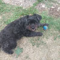 Desperately need somewhere to live Main Photo