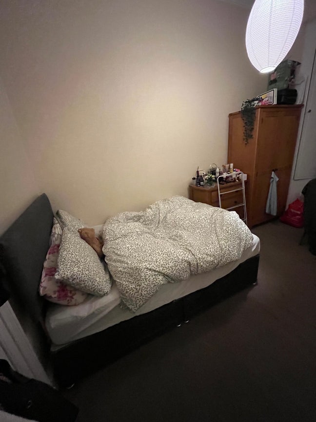 Double bedroom in Newington  Main Photo