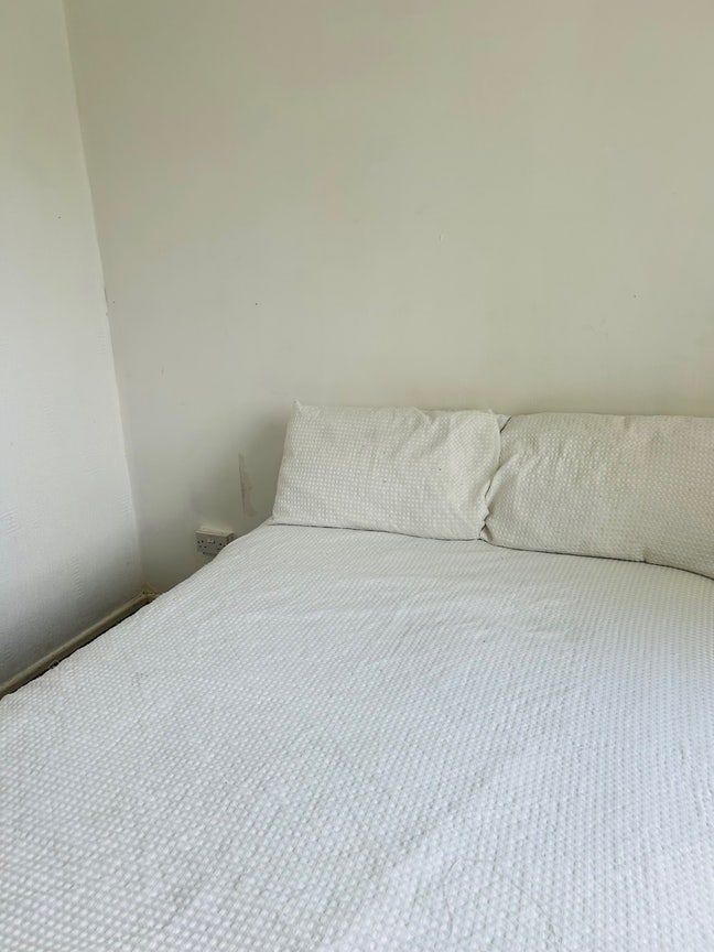 Room to Rent  Main Photo