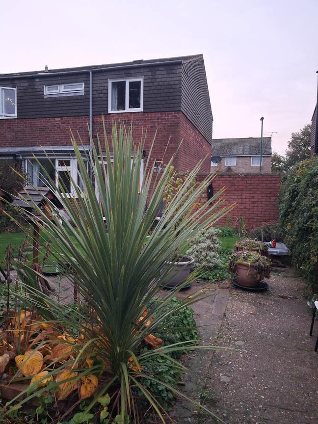 Double Room in Shared House Main Photo