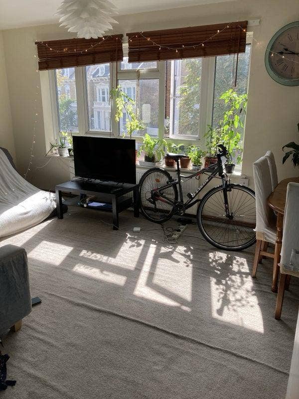 Room in flat near Highbury fields Main Photo