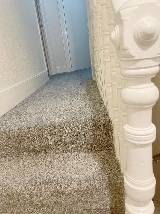 Clean New Double Bedroom for rent Main Photo