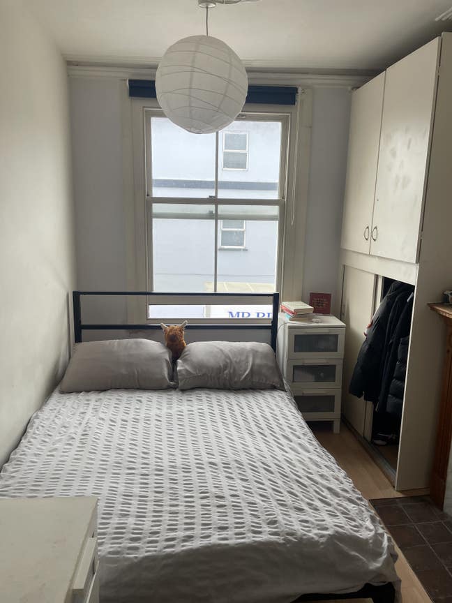 Bright Double Room in a Fun, Sociable House Main Photo