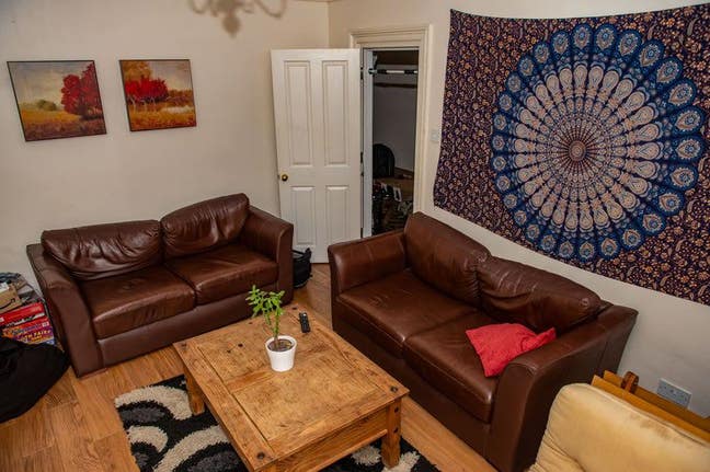 Professional person required for sociable house Main Photo