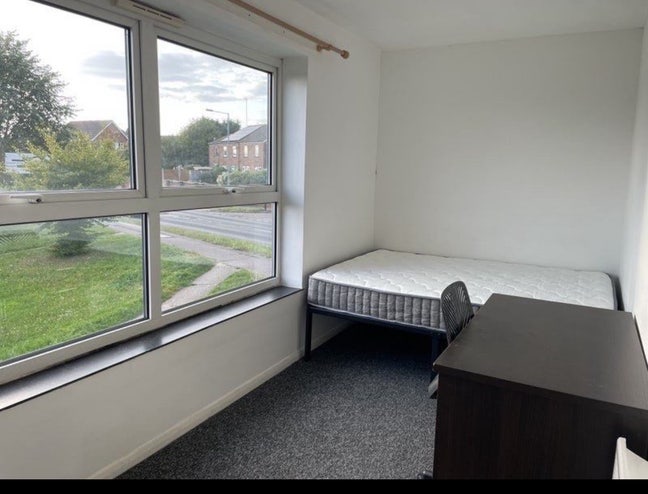 Planning to go back to my country so  Main Photo