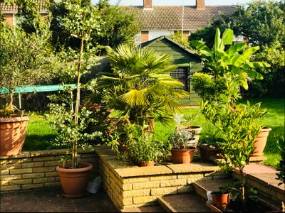 Spacious Annex with Garden – Close to Cambridge Main Photo