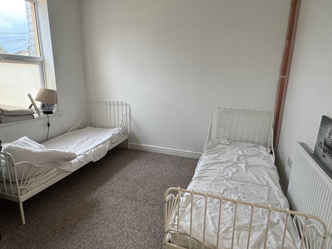 Room available for immediate move in  Main Photo