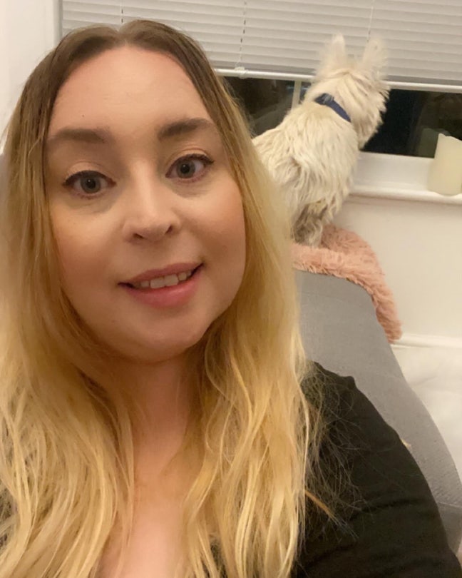 Kiwi looking for room / buddy up with dog Obi! Main Photo