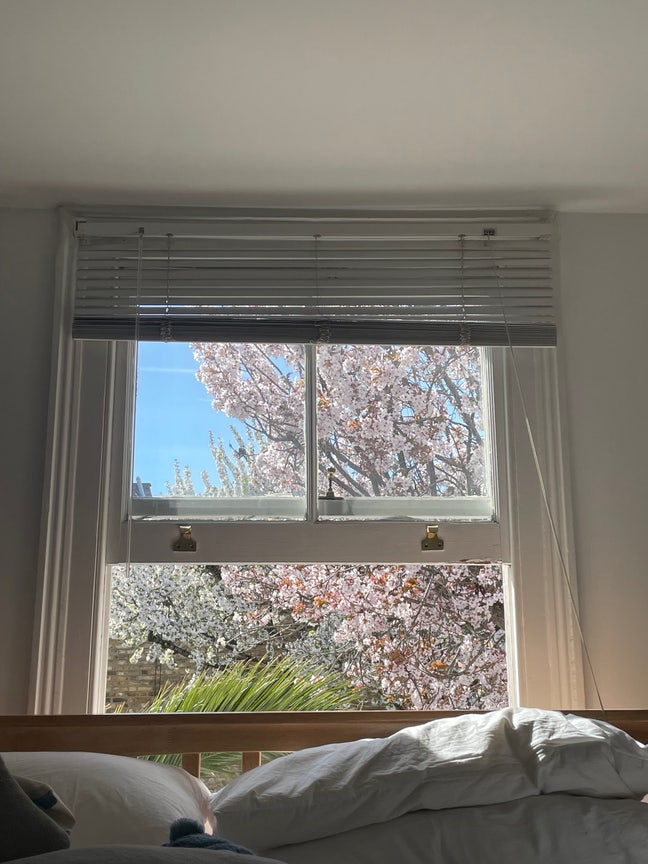 Lovely Double Bedroom En-suite in Barons Court Main Photo