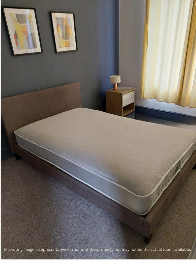 Room in house share available to rent now! Main Photo