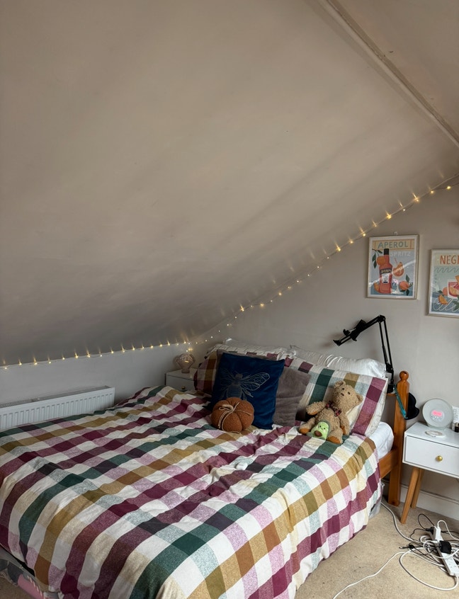 Room in Girls Flat in Tooting Main Photo