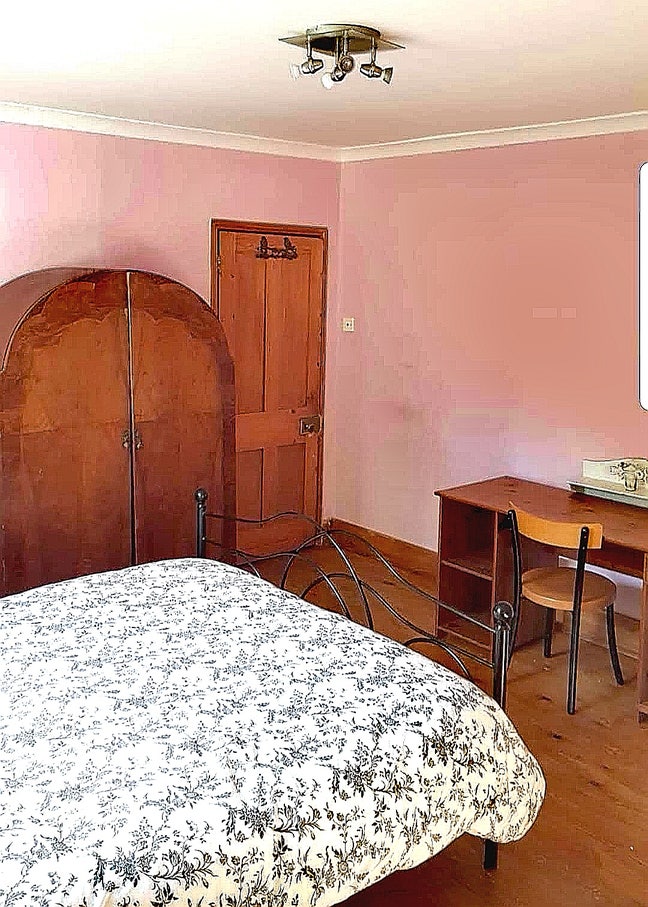 Extremely Large Room in a Convenient Location Main Photo