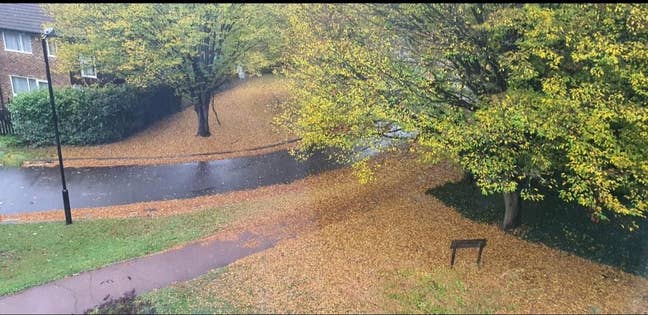 Room to Rent Main Photo