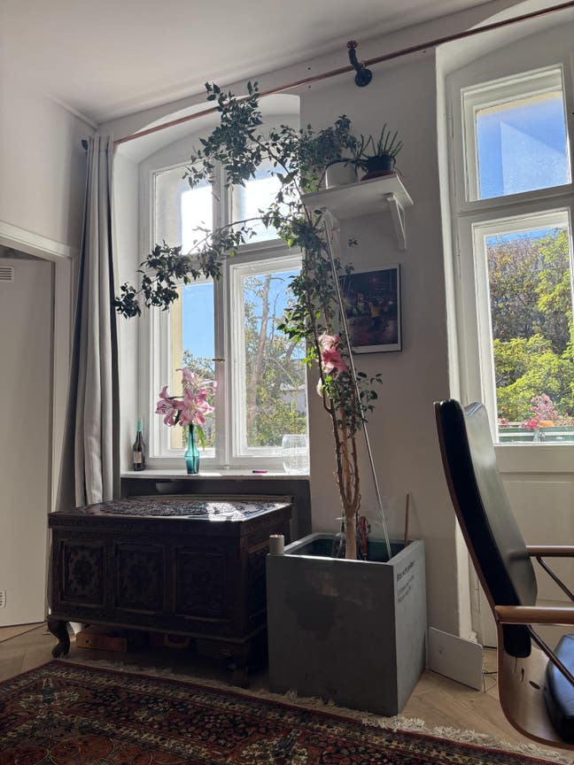 Flat Swap in Spring 26 - Edinburgh Berlin Main Photo