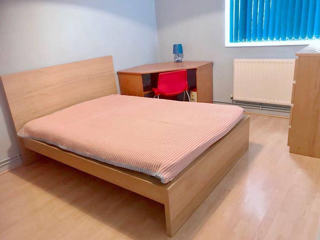 Spacious room clean flat min Mile End tube Main Photo