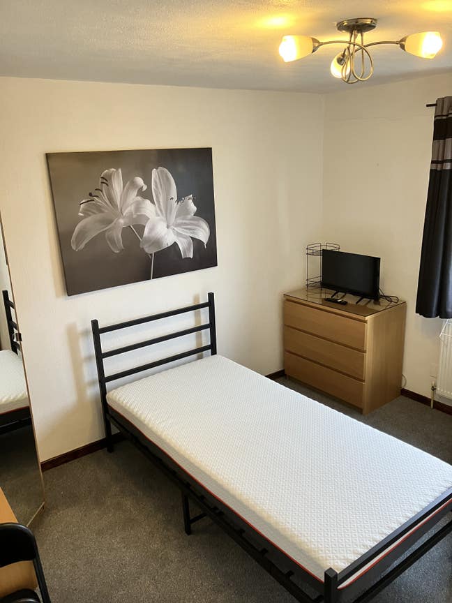 Room for rent in Hatfield. Main Photo