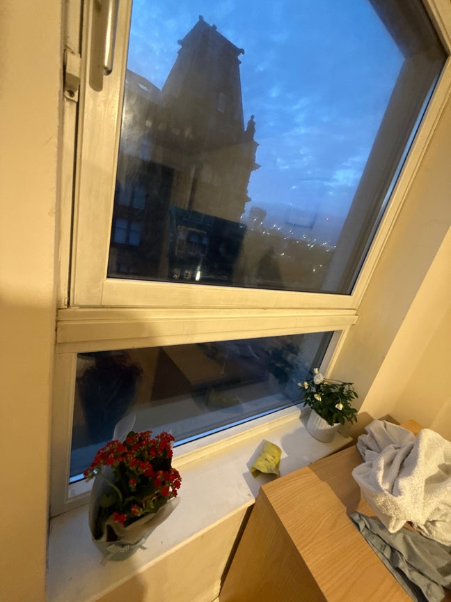 Single room available in G5 wallace street Main Photo