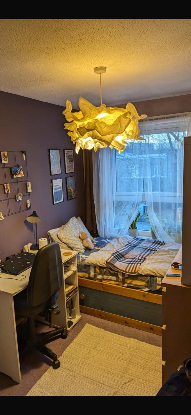 Flat share in prime St John’s Wood  Main Photo