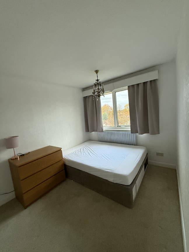 Renting single room Main Photo