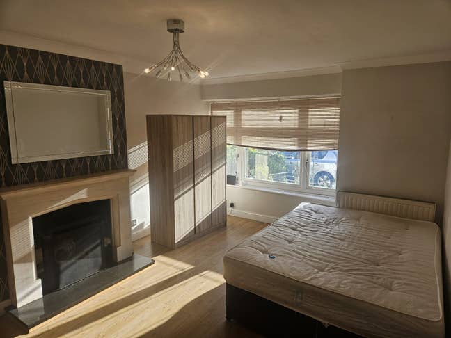 Am looking for a single male or female Main Photo