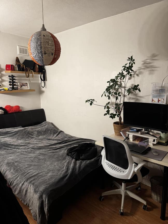 Room available 15 November! Main Photo