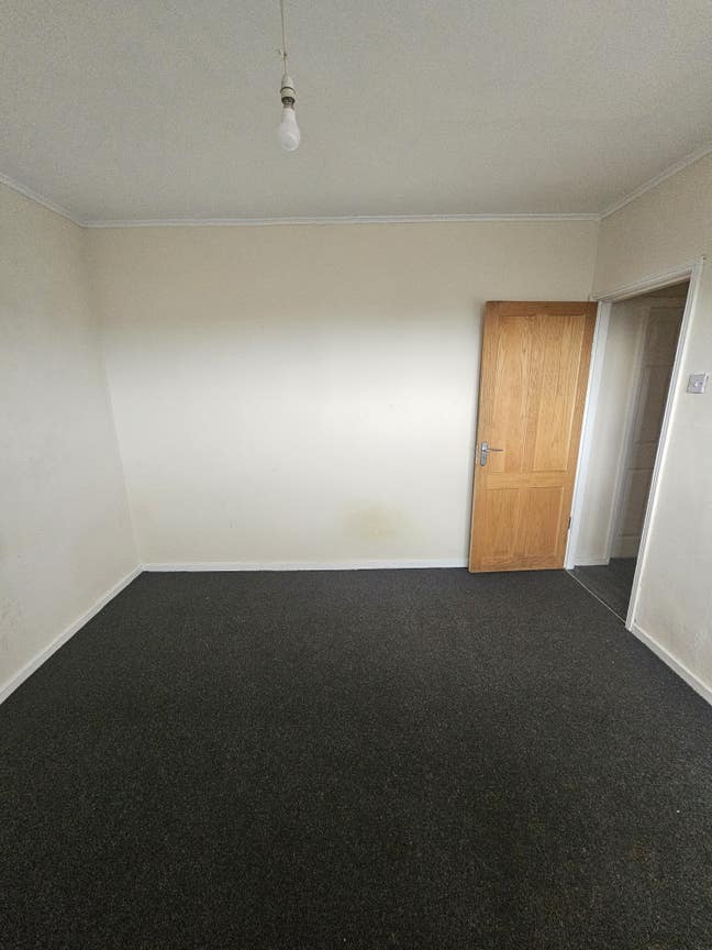 Room available for rent Main Photo