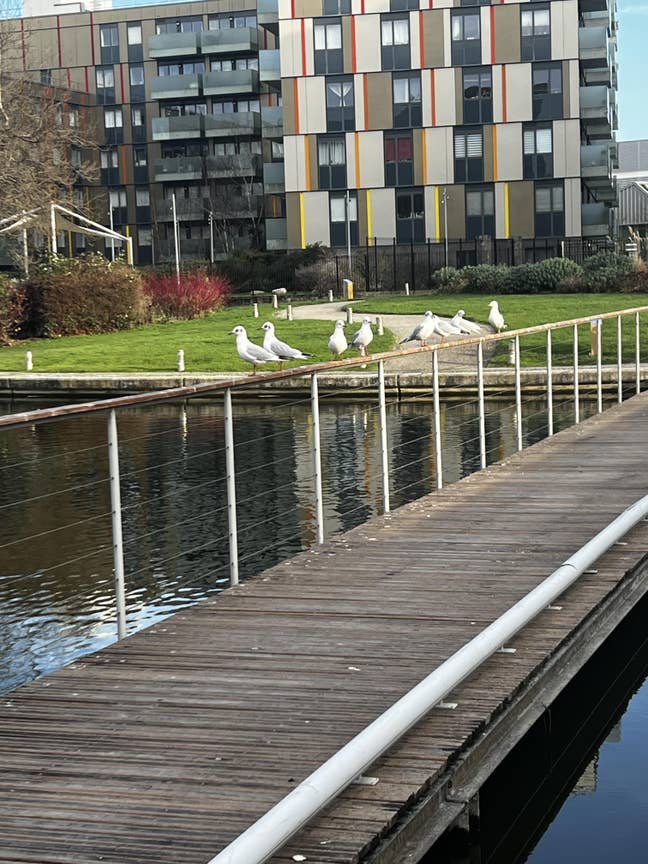 2 bedroom 2 bathroom, ensuite, BIG OFFER Main Photo